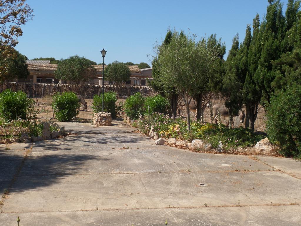 Sa Bassa Crua Agroturismo Sa Torre Экстерьер фото